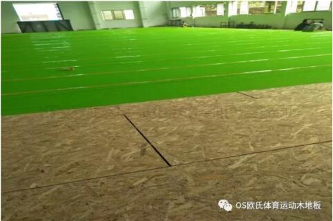 V|YBDLT HOOP PARK@򹫈@ɹ