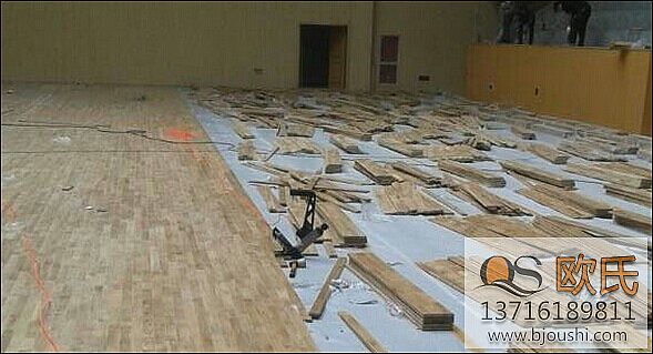 體育地板 體育地板