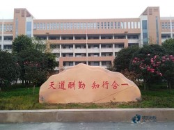 常用運動場地地板較好的有哪些牌子