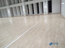 25厚運(yùn)動(dòng)型木地板品牌有哪些