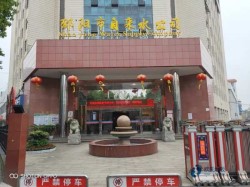 單層龍骨運(yùn)動體育地板費(fèi)用