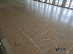 室內(nèi)體育館運(yùn)動(dòng)木地板優(yōu)缺點(diǎn)