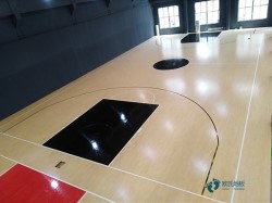 籃球運(yùn)動(dòng)實(shí)木地板品牌排行榜