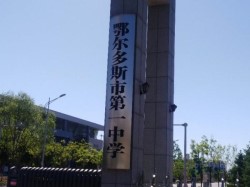 體育館木地板什么牌子好