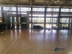 25厚體育地板哪個(gè)牌子性價(jià)比高